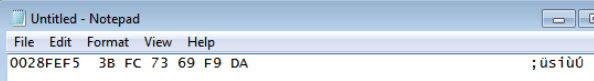 Notepad View